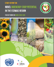 Study Report on Novel Bioenergy Crop Potential in the ECOWAS Region
